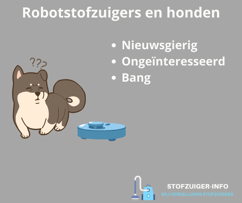 Zo reageren honden op robotstofzuigers