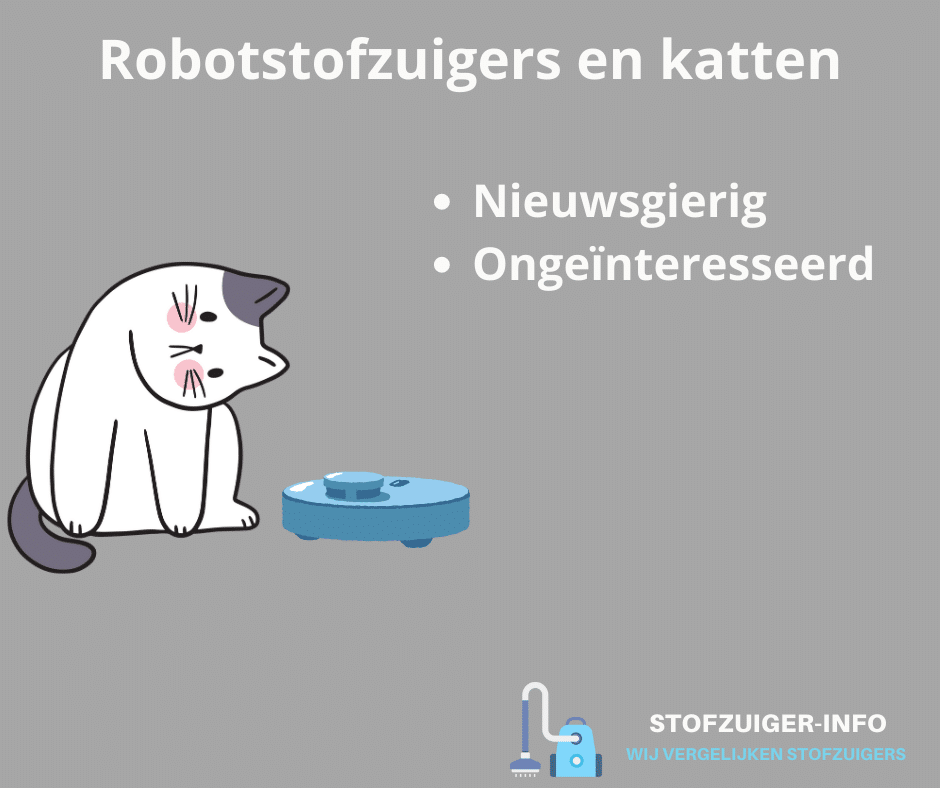 Zo reageren katten op robotstofzuigers