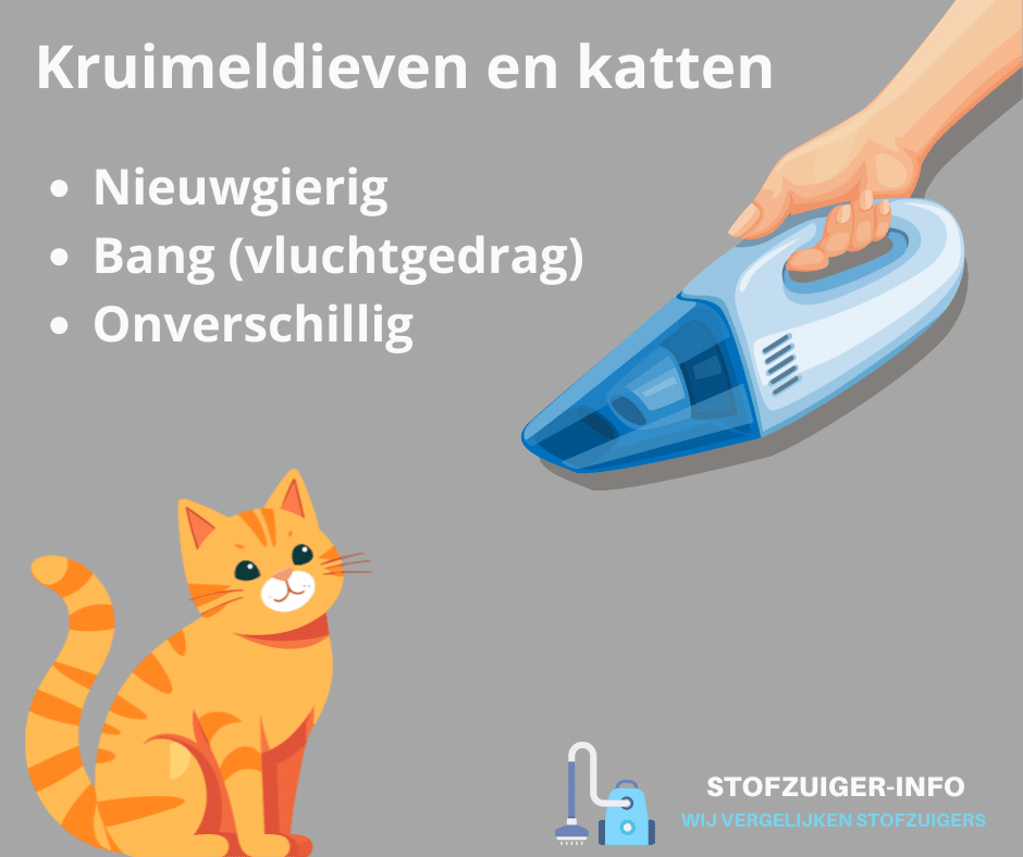 Katten en kruimeldieven